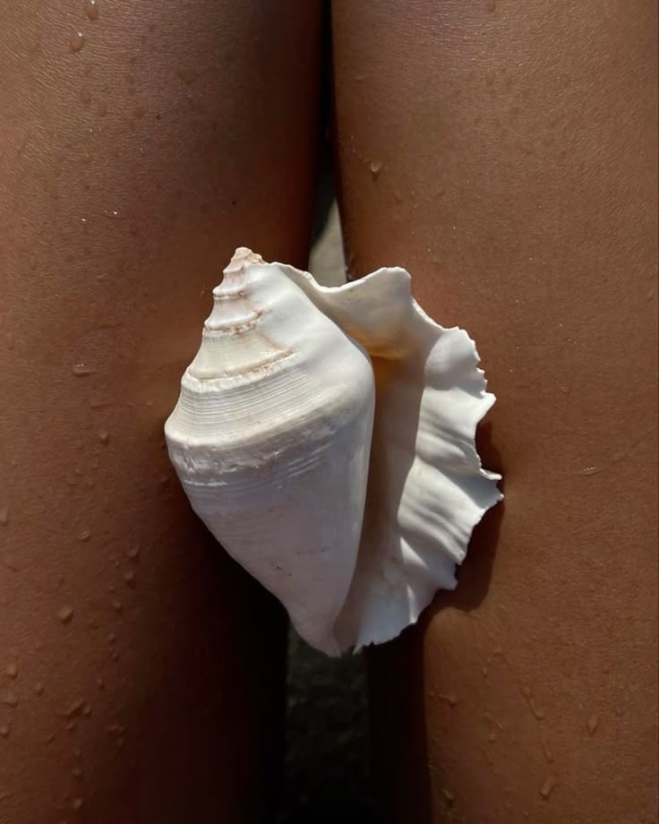 A large white seashell is positioned between two bare, tan legs with droplets of water visible on the skin.