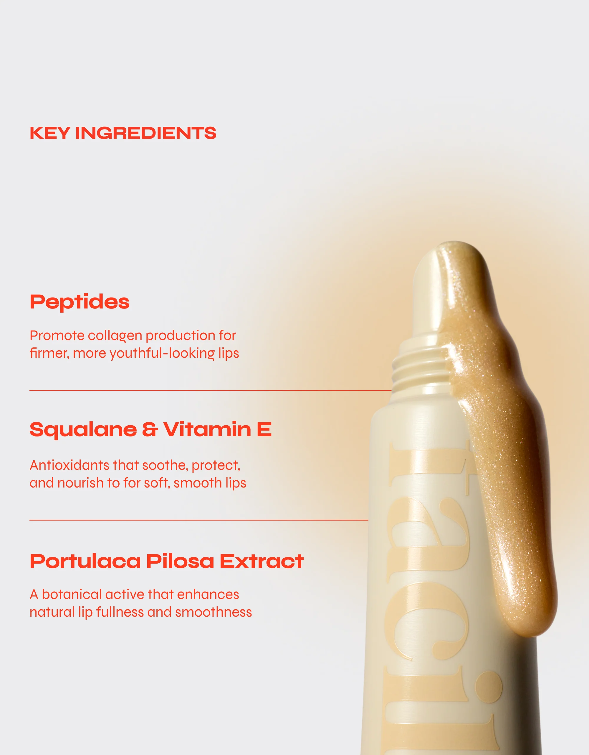 A close-up of Facile – Champagne Lip Jelly Tint, a beige tube with shimmery golden balm, next to text highlighting peptides, squalane & vitamin E, and portulaca pilosa extract for hydration, smoothness, and plumping benefits.