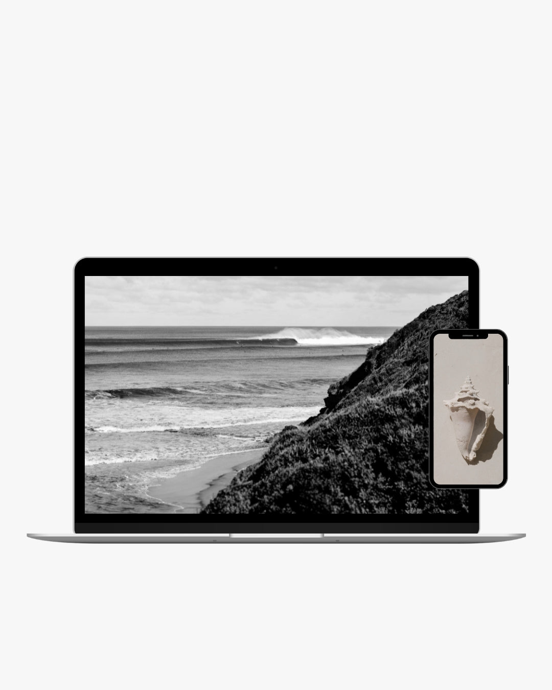 A laptop shows a black and white ocean Digital Wallpaper, while a smartphone displays a color seashell Digital Wallpaper. Both devices are set against a plain white background.