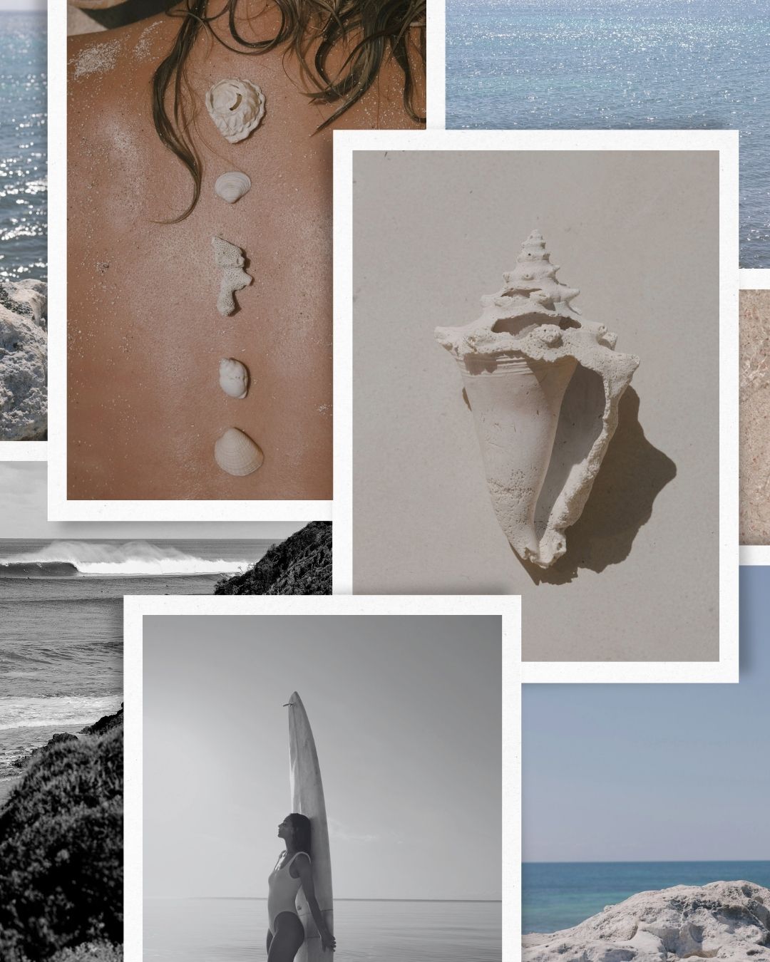 Digital Wallpaper: A collage with ocean views, a close-up seashell, a woman at the beach holding a surfboard, and a person lying on sand with seashells arranged on their back.